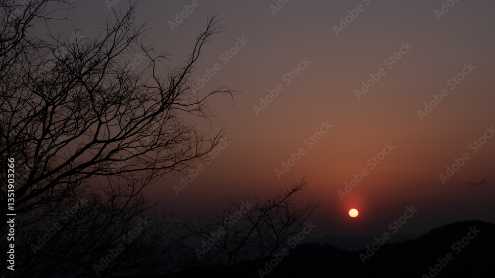 Fototapeta premium 静寂と光の境界