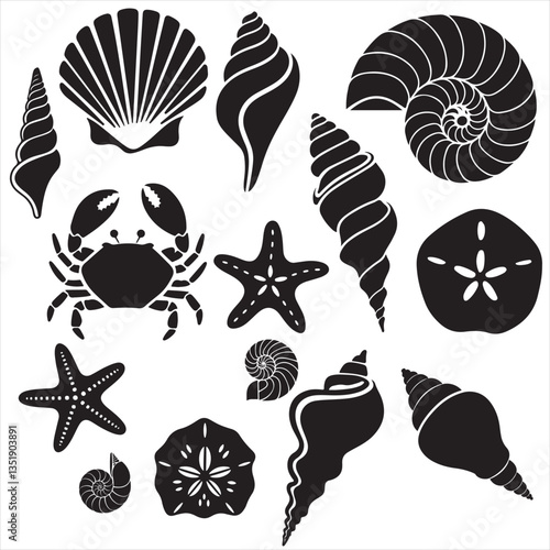 set vector various Seashell silhouettes