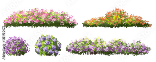 set of flowers, Vertor set of spring blossom tree,blooming plants side view  for landscape elevation and section,eco environment concept design,watercolor shrub illustration,colorful season