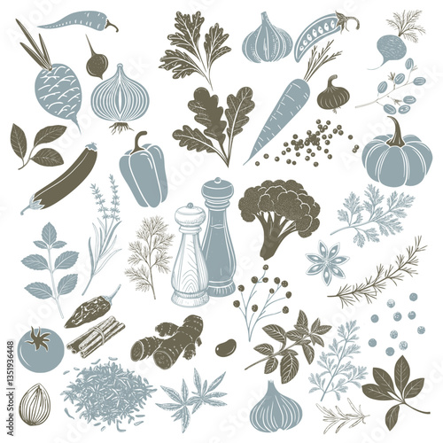 set of vegetable and herb illustrations in brown and blue