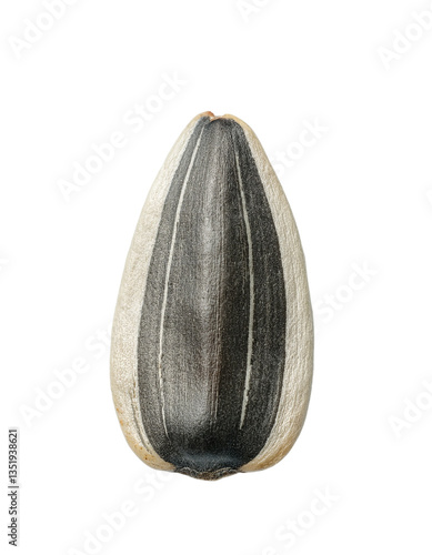 Wallpaper Mural Single Sunflower Seed Torontodigital.ca