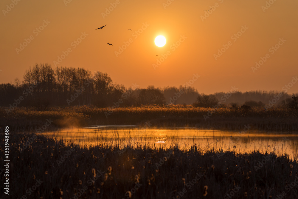 Słoneczny poranek nad Stawami Dojlidzkimi, Podlasie, Polska