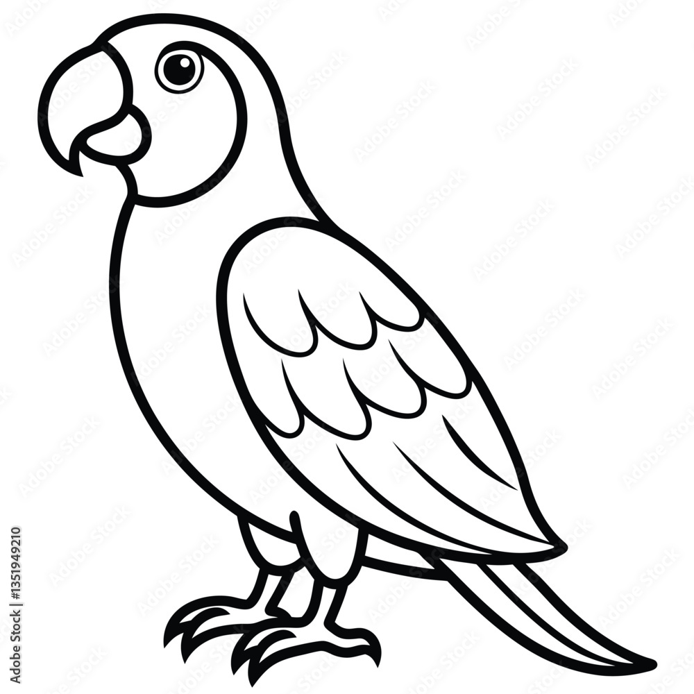 Parrot isolated on white background Parrot isolated on white background