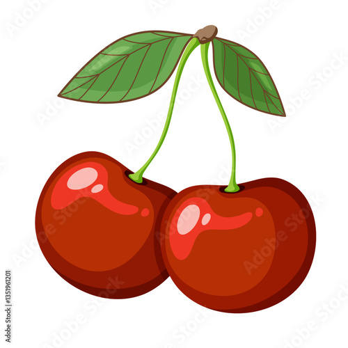 cherry vector illustration