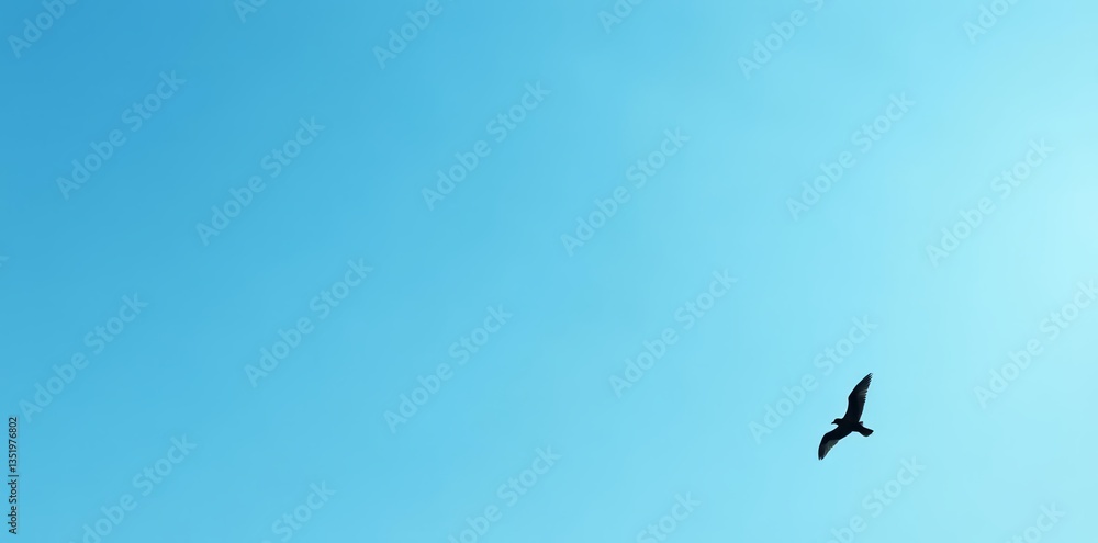 Fototapeta premium Minimalist black and white seagull silhouettes on a clear blue sky background, seagull, sky, minimalistic