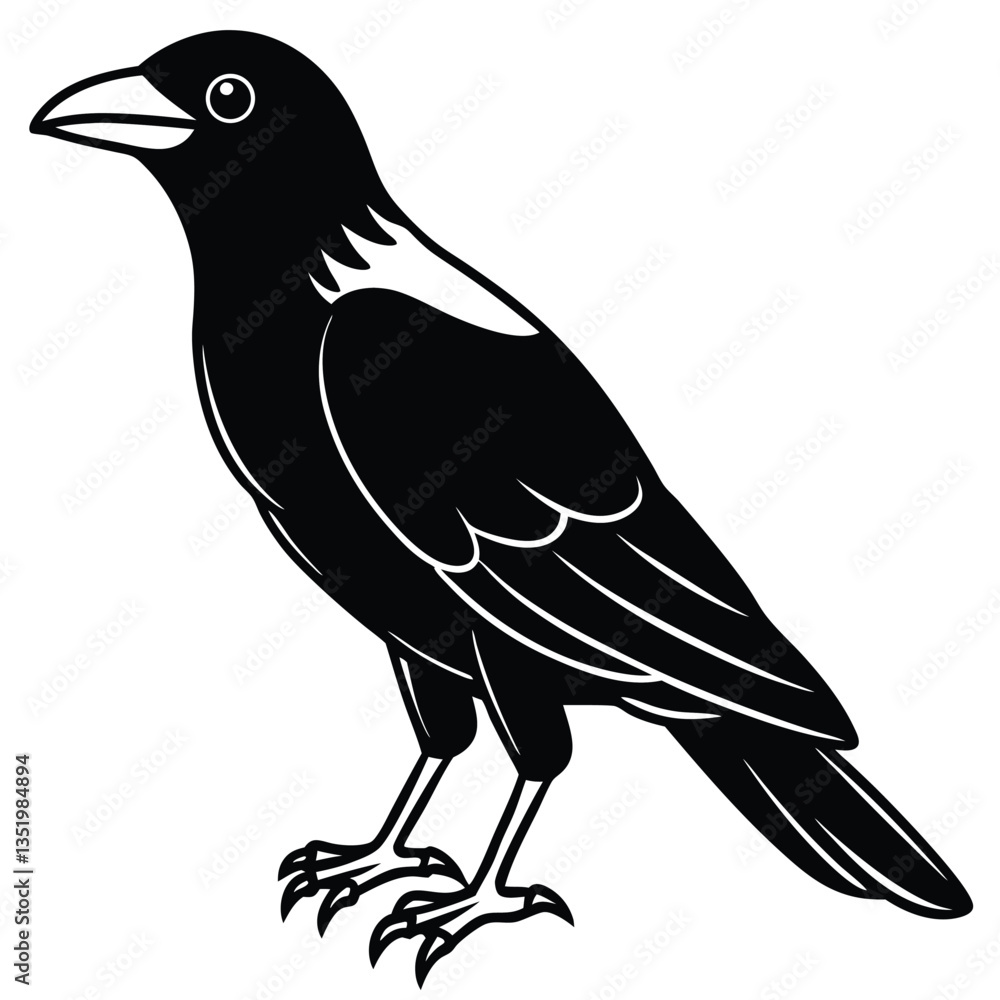 Fototapeta premium Crow isolated on white background