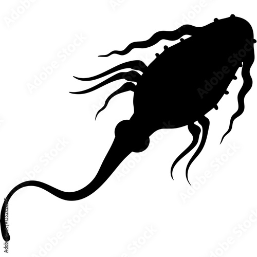 Black Silhouette of Copepod Sea Creature for Educational Illustration and Design