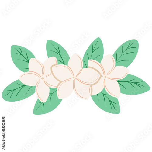 plumeria flower cluster with leaves handrawn flat style illustration