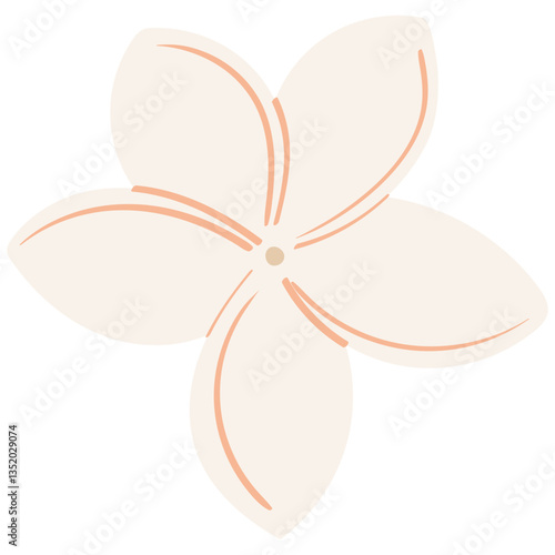 single plumeria flower handrawn flat style illustration
