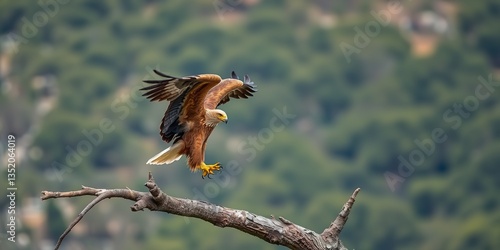 Majestic Golden Eagle Landing on Branch