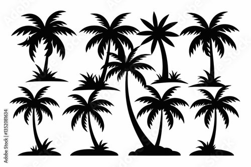 the palm tree of Sihouette black vector