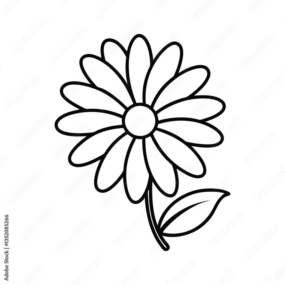 Fototapeta premium Daisy line art vector illustration