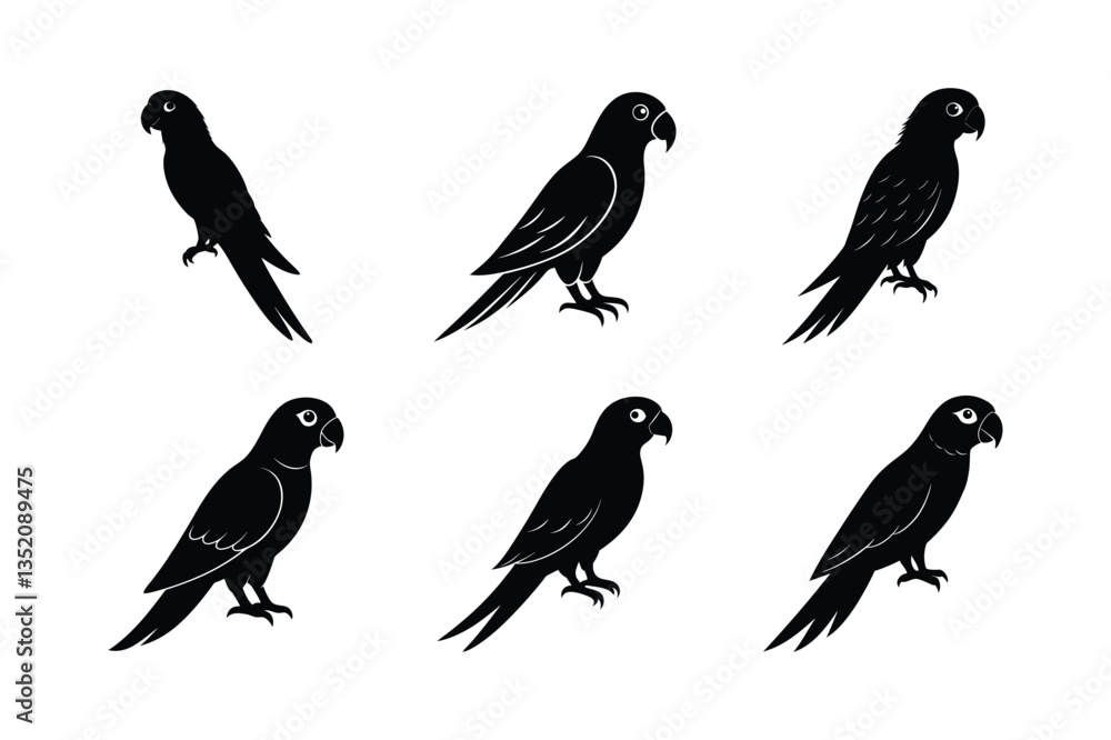 Obraz premium parrot perched vector silhouette design