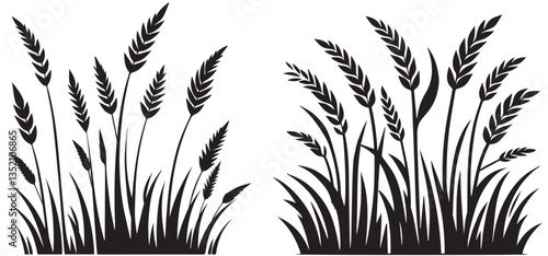 Silhouette of wheat field with grass and leaves vector. silhouette grass