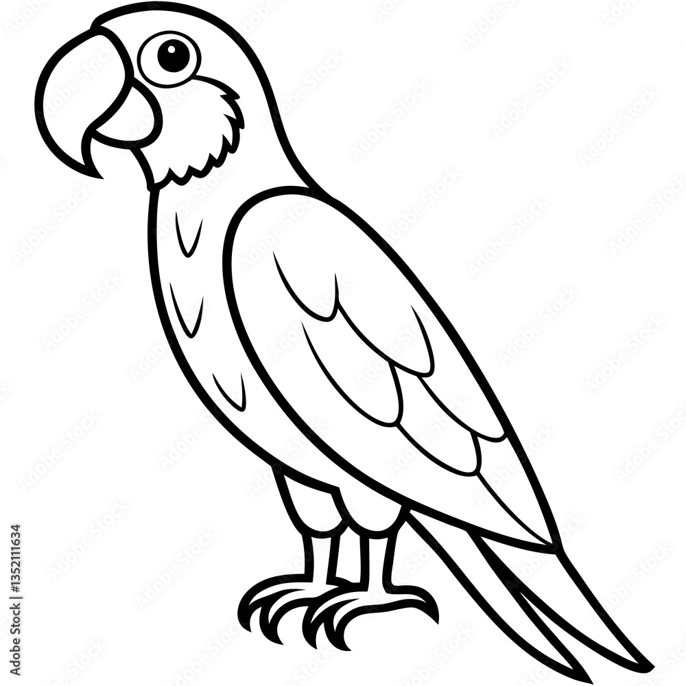 Obraz premium Abstract Macaw Vector Line Art