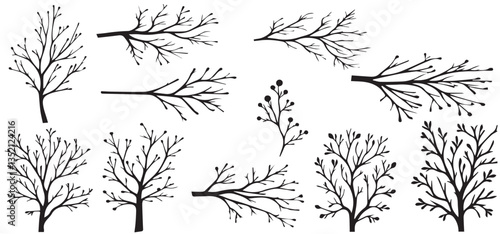 tree branches collection, dry tree branches on white background. Set of branches and trees silhouette vector