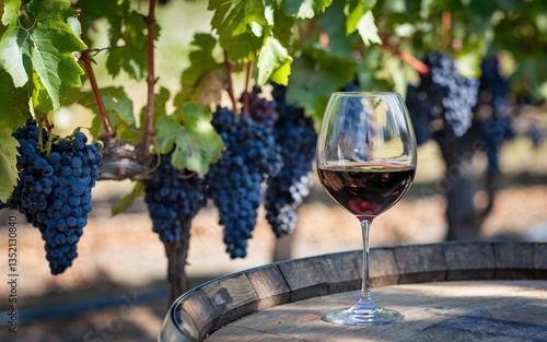 wine in Napa Valley, California, Vineyard red wine glass on barrel