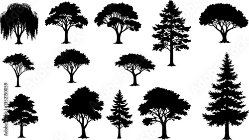 silhouette tree line drawing set, Side view, set of graphics trees elements outline symbol for architecture and landscape design drawing. Vector illustration in stroke fill in white. Tropical 