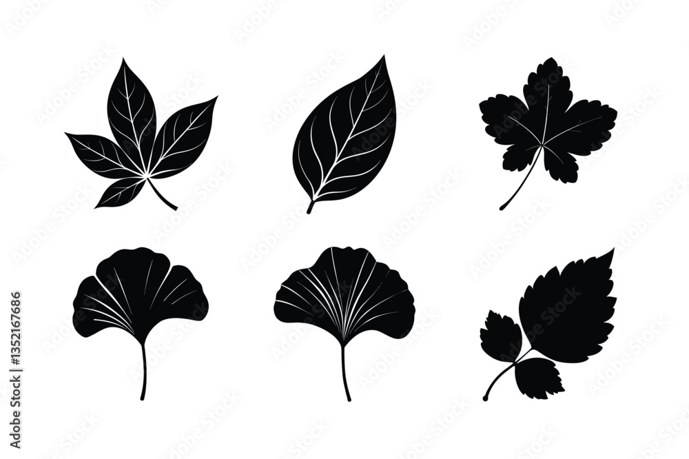 Fototapeta premium worlds famous many kinds of leaves silhouette vector illustration