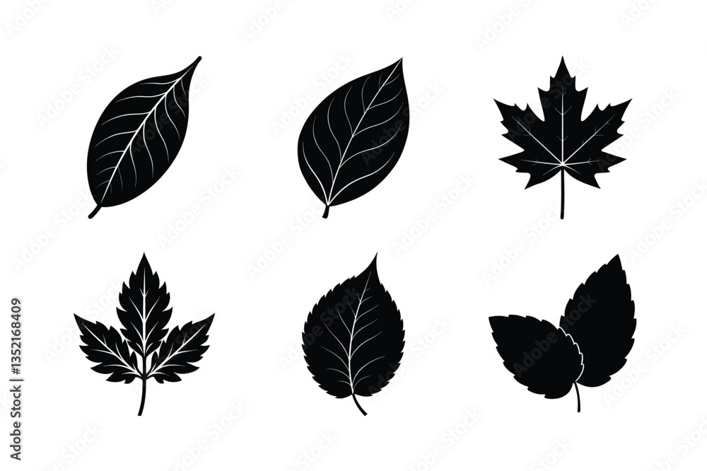 Fototapeta premium various type of leaves silhouette vector illustration