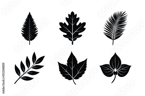 worlds famous many kinds of leaves silhouette vector illustration