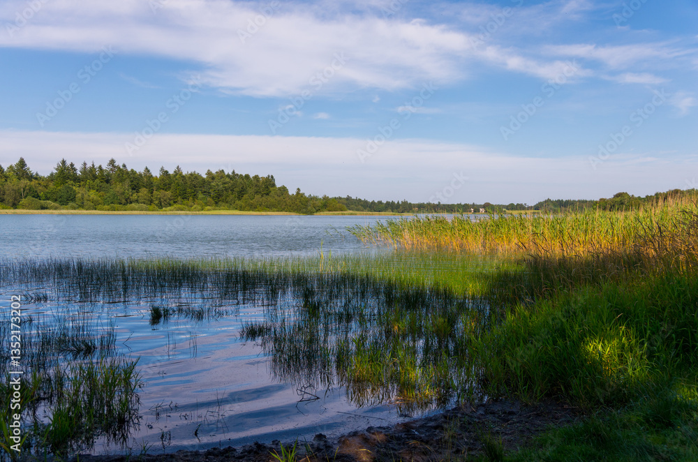 Tranquil Lakeside Scene: Gentle Waves, Wetland Vegetation, and Soft Clouds Reflecting in Calm Water Tranquil Lakeside Scene: Gentle Waves, Wetland Vegetation, and Soft Clouds Reflecting in Calm Water