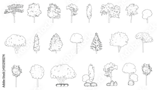 Cad tree line minimal style, set of graphics trees elements outline symbol for architecture and landscape design drawing. Vector illustration.