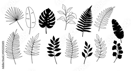 Botanical Variations: A collection of various detailed hand-drawn plant leaves including palm, banana, and fern in a monochrome outline. Capturing the elegance and intricacy of the natural world.