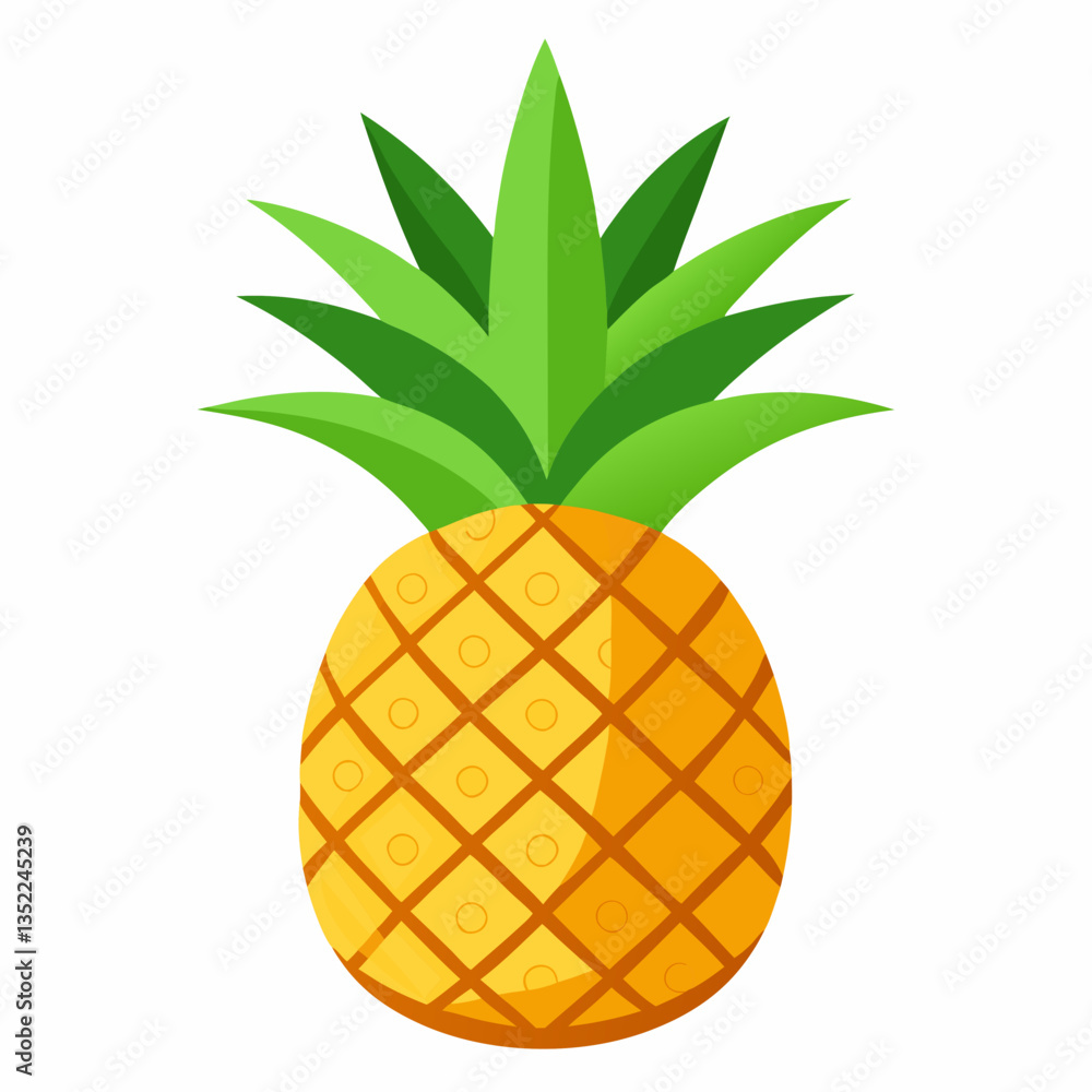 vector illustration of pineapple vector illustration of pineapple