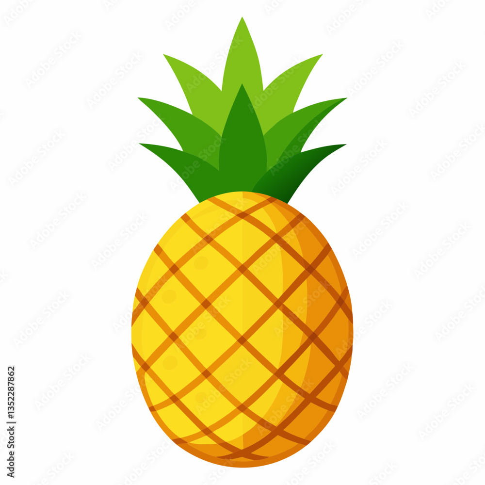 illustration of pineapple illustration of pineapple