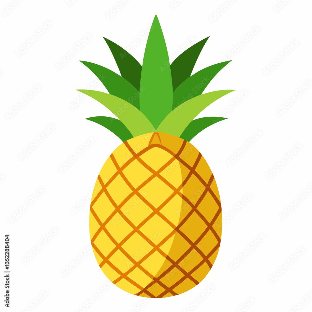 illustration of pineapple illustration of pineapple