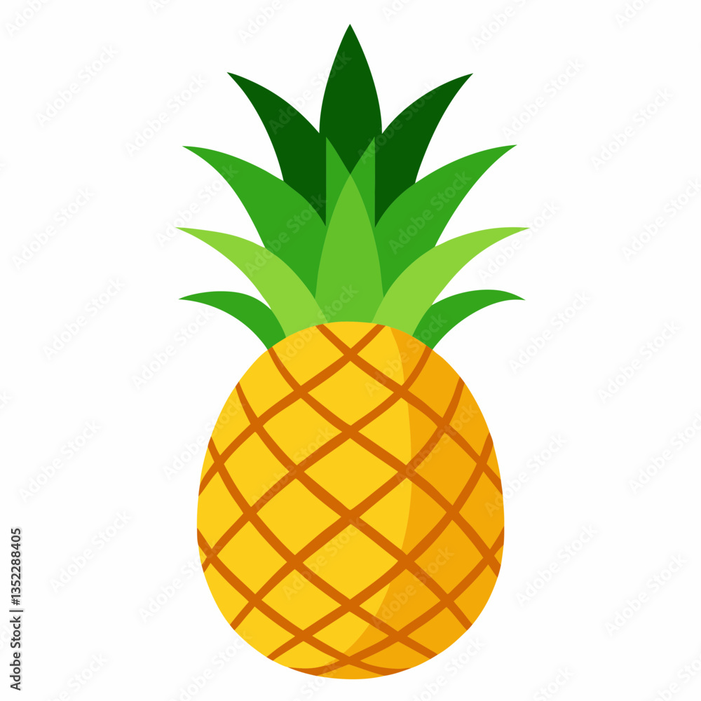 illustration of pineapple illustration of pineapple
