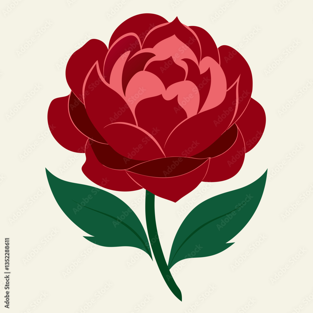 vector illustration of red rose vector illustration of red rose