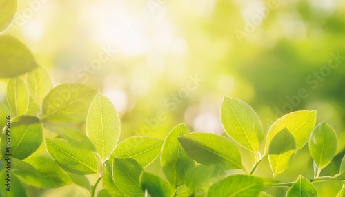 Green Leaf Pattern Background with Soft Light Leaks for Nature and Relaxation Themes