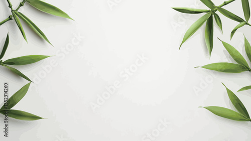 High-angle, close-up view of vibrant green leaves arranged to create a frame on a plain white background. The leaves are sharply focused, exhibiting detailed textures and variations in leaf shape
