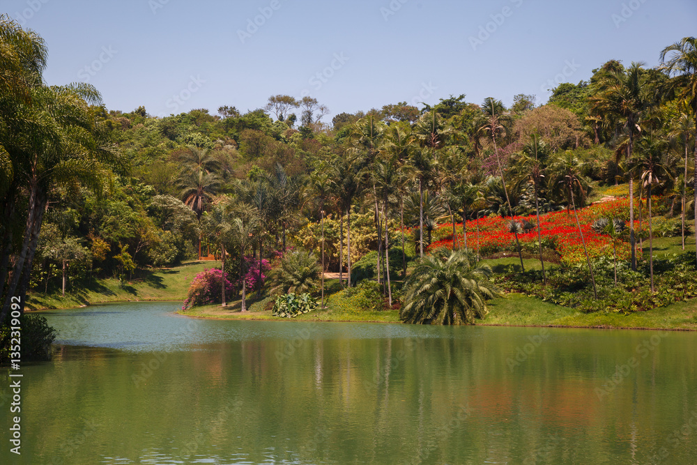 Palm trees, the tropical forest at the shore of the lake, Inhotim, Minas Gerais, Brazil.