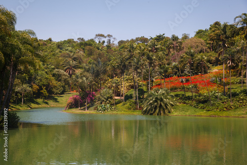 Obraz na płótnie Palm trees, the tropical forest at the shore of the lake, Inhotim, Minas Gerais, Brazil. w salonie