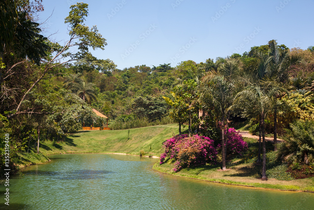 Palm trees, the tropical forest at the shore of the lake, Inhotim, Minas Gerais, Brazil.