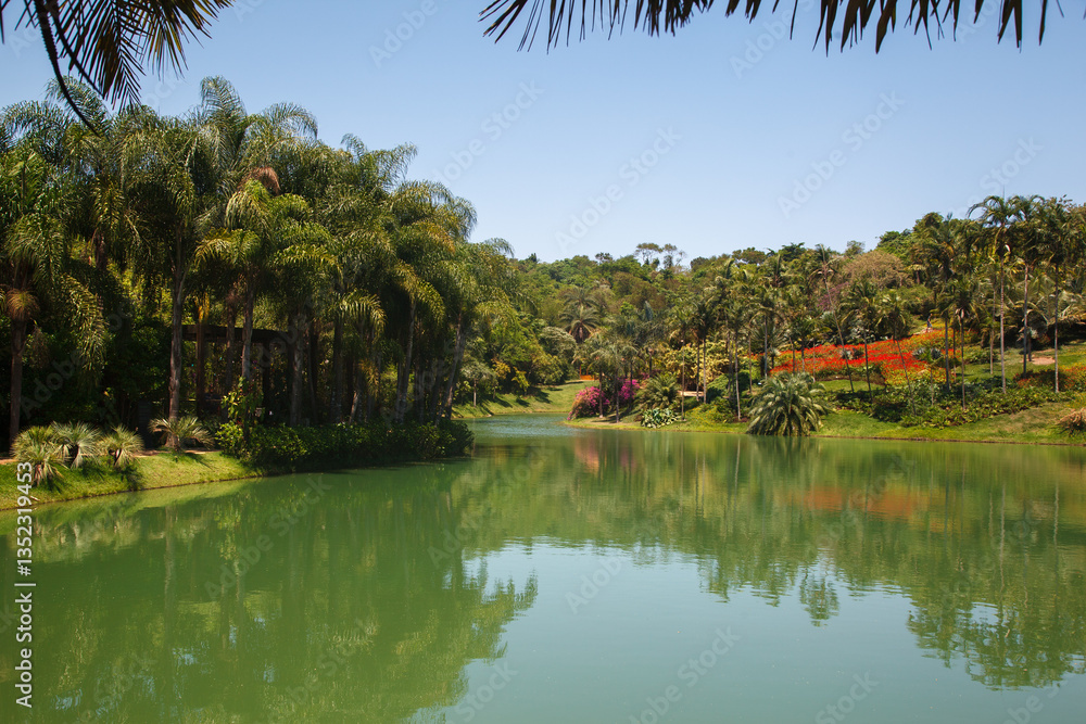 Palm trees, the tropical forest at the shore of the lake, Inhotim, Minas Gerais, Brazil.