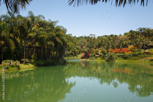 Obraz na płótnie Palm trees, the tropical forest at the shore of the lake, Inhotim, Minas Gerais, Brazil. w salonie