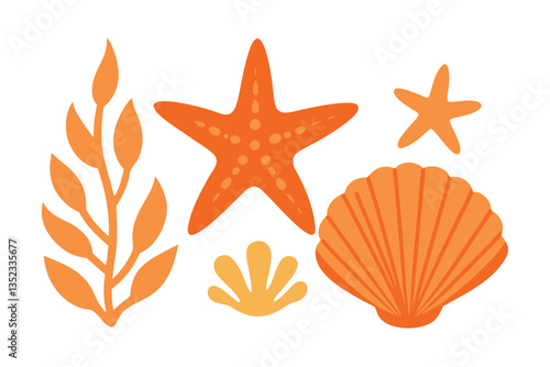 Orange Seaweed, Shell, Starfish. Underwater Plants and Sea Animals