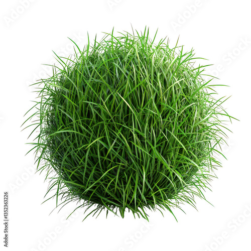 Green grass isolated on transparent background