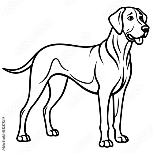 Labrador Retriever Line Art: Elegant line art illustration of a Labrador Retriever, showcasing its muscular build and friendly demeanor. The dog stands proudly.