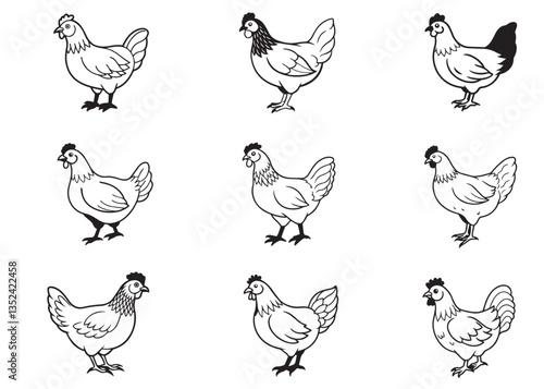 Hen vector illustration Design Set
