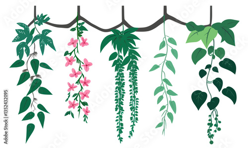 Tropical Jungle Liana Climber with Blossoms and Foliage in Minimalist Vector Style