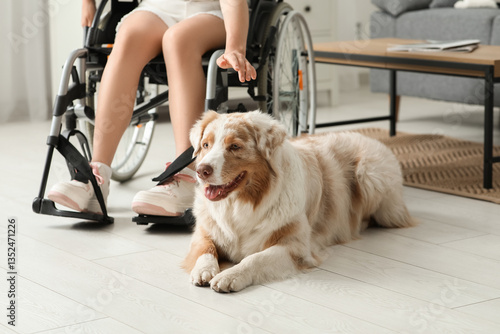Service dog near woman in w...