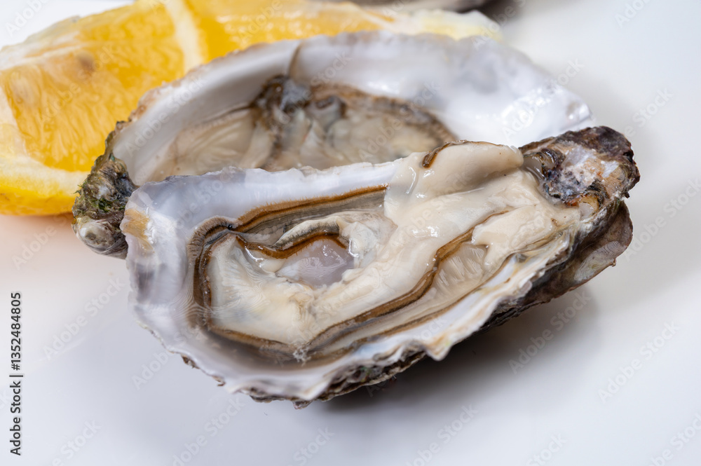 Plate with fresh live raw Fine de Claire Oleron oysters seashells served oyster-farming village, Marennes Oleron area, France Plate with fresh live raw Fine de Claire Oleron oysters seashells served oyster-farming village, Marennes Oleron area, France