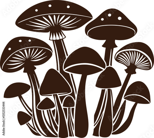 vector illustration of mushrooms