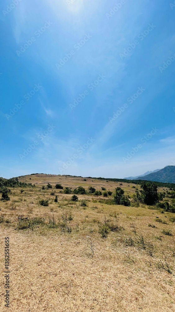 Naklejka premium desert landscape with blue sky