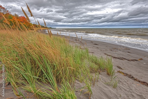 Obraz na płótnie Autumnal beach scene with tall grasses, grey sand, and a stormy sea w salonie